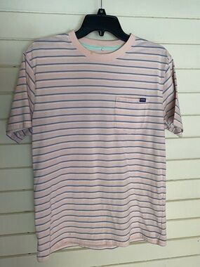 chubbies Pastel Pink Stripe Pocket Tee with Blue Lines